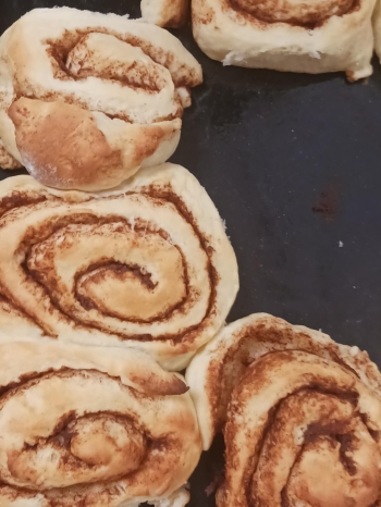 1ac69686-b36e-40fa-a347-282e43a25696