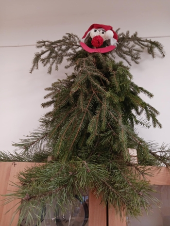 34069a4d-a094-4ac0-aeba-131d2be22211