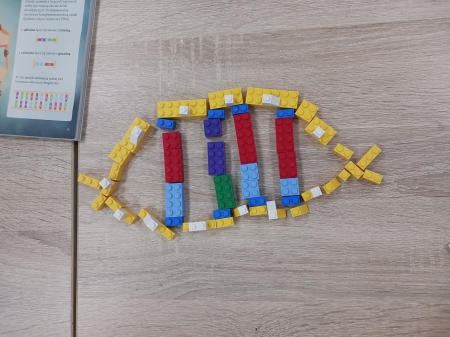 Ósmoklasiści budują DNA z klocków LEGO!
