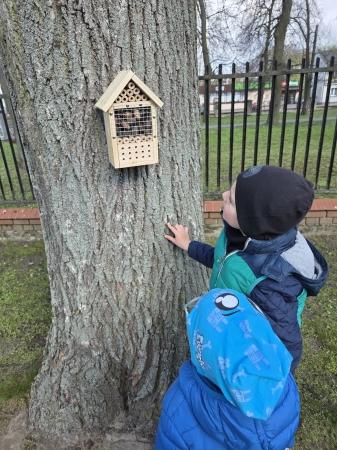 Mali Wielcy Odkrywcy - hotel dla owadów 
